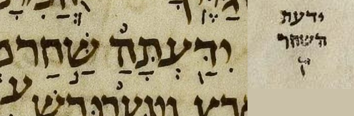 Aleppo Codex crop: Job 38:12